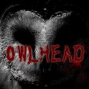 OWLHead复原