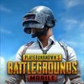 pubg国际服 下载官方正