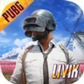 pubg国际服 手游官网版