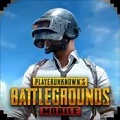 pubg国际服 下载最新版