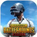 pubg mobile 国际服安卓