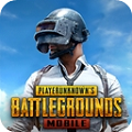 pubg mobile 国际服下载