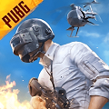 pubg国际服地铁逃生 官