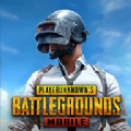 pubg绝地求生 正版下载