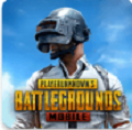 pubg 地铁逃生正版下载